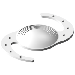 MD2 per cane an-vision