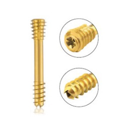 CBS Viti intracondilari...