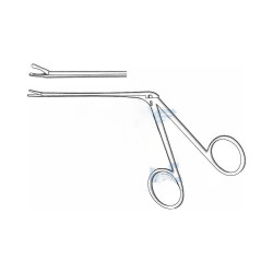 Pinza Hartmann Wullstein
