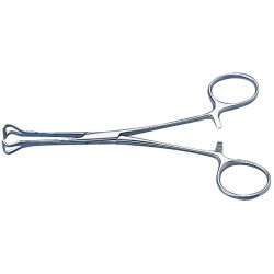 Pinza di Babcock dritta