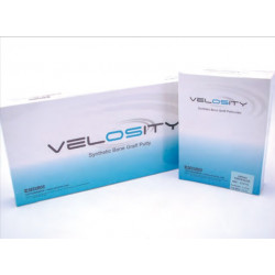 Velosity  Securos