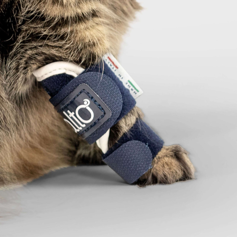 Tutor Pro Splint Tutore lassità Balto Splint cats