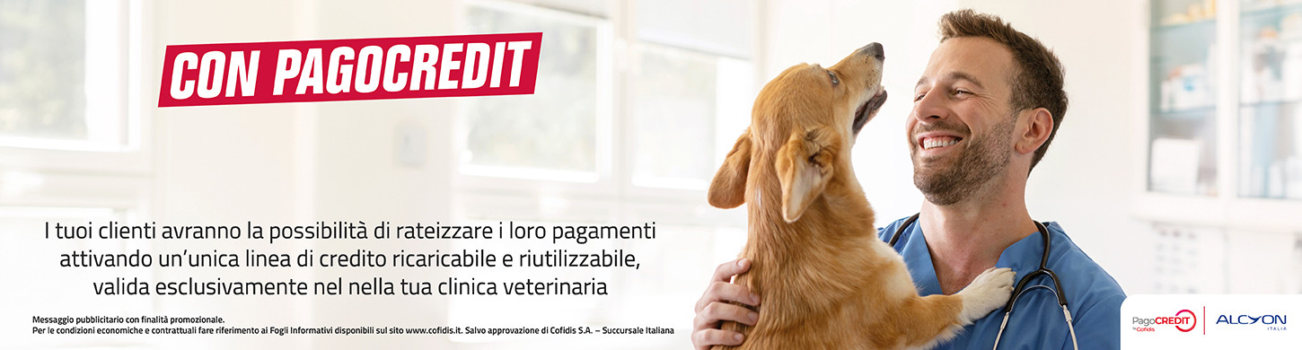 Diventa partner