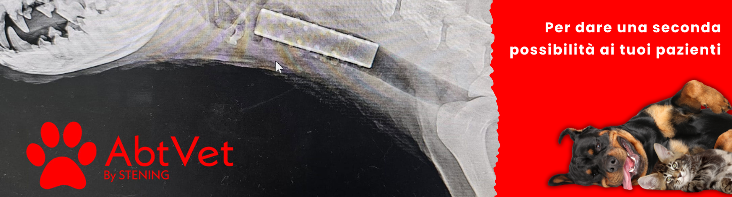 Scopri la gamma degli stent AbtVet